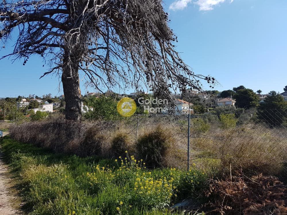 Building Plot in Agios Athanasios, Pallini — Photo 3 of 7
