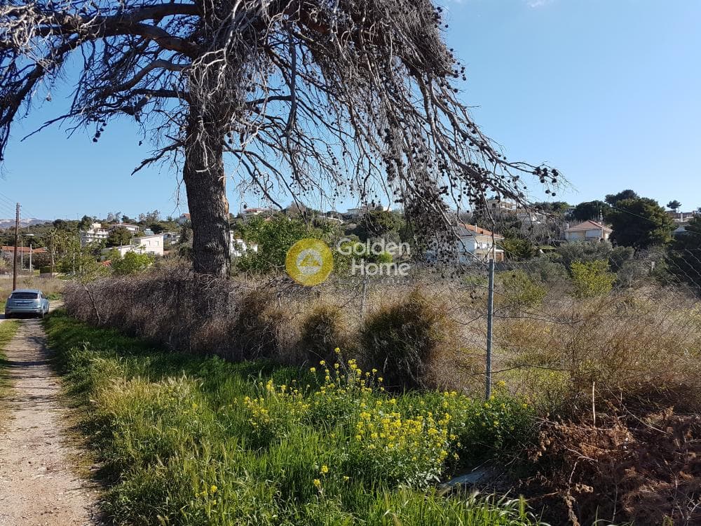 Building Plot in Agios Athanasios, Pallini — Photo 4 of 7