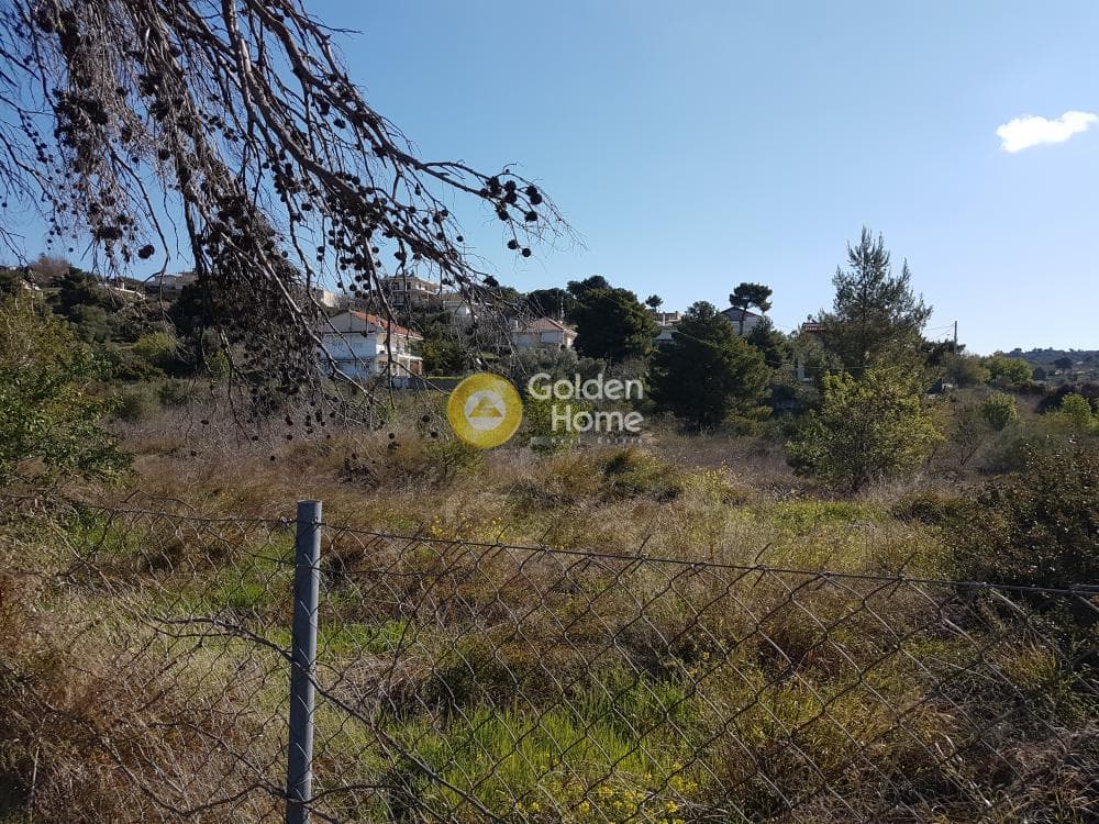 Building Plot in Agios Athanasios, Pallini — Photo 5 of 7