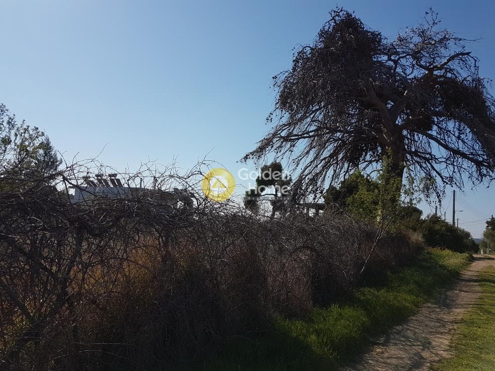 Building Plot in Agios Athanasios, Pallini — Photo 7 of 7