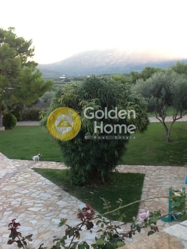 Μονοκατοικία στην Κέντρο, Κορωπί — Φωτογραφία 12 από 22