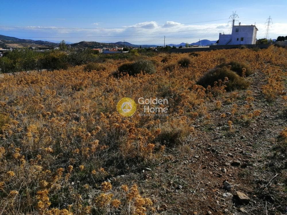 House in Center, Keratea — Photo 12 of 20