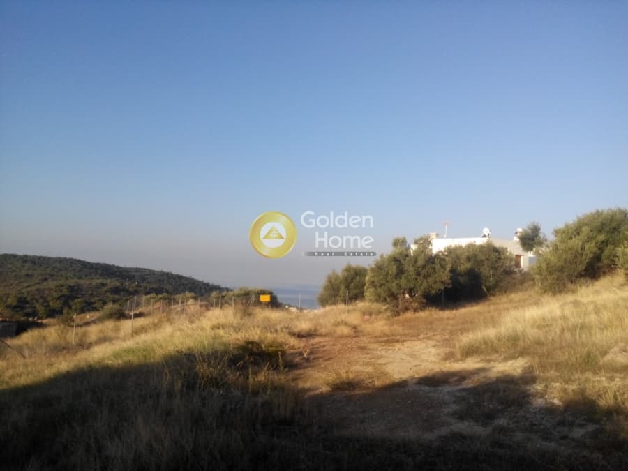 Οικόπεδο στην Σαρωνίδα, Σαρωνίδα — Φωτογραφία 1 από 5