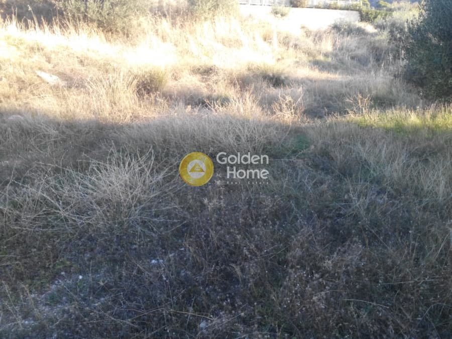 Οικόπεδο στην Σαρωνίδα, Σαρωνίδα — Φωτογραφία 3 από 5