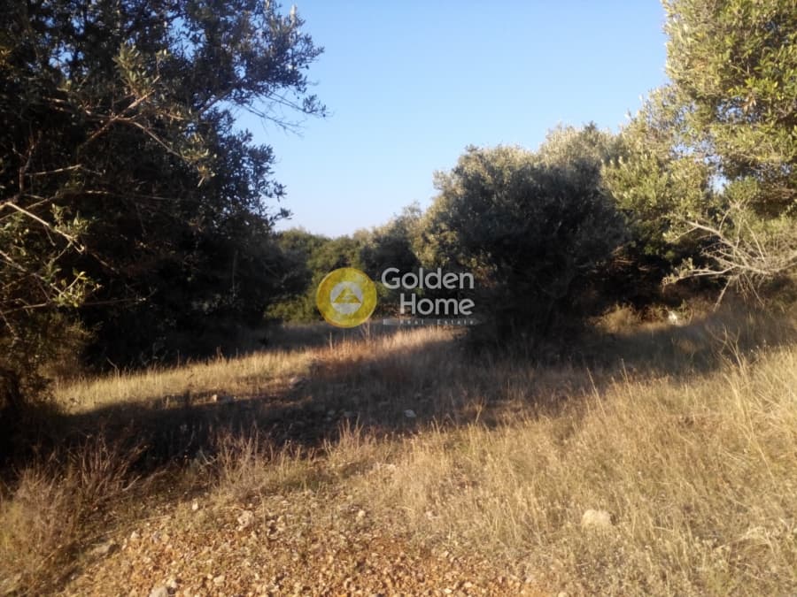 Οικόπεδο στην Σαρωνίδα, Σαρωνίδα — Φωτογραφία 4 από 5