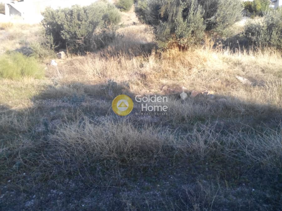 Οικόπεδο στην Σαρωνίδα, Σαρωνίδα — Φωτογραφία 5 από 5