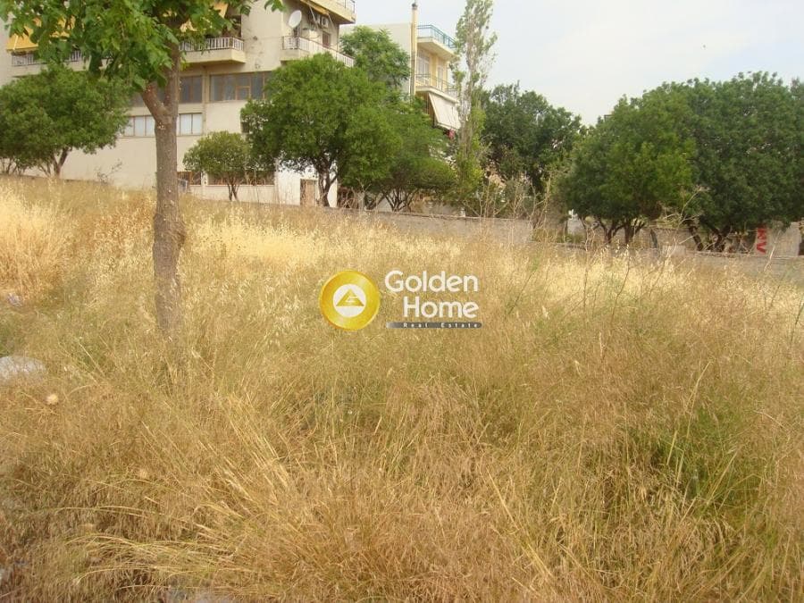 Building Plot in Pirgouthi, Acharnes — Photo 18 of 27