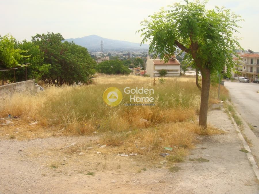 Building Plot in Pirgouthi, Acharnes — Photo 12 of 27