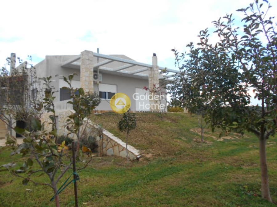 Μονοκατοικία στην Νεάπολη, Σπάτα — Φωτογραφία 1 από 14