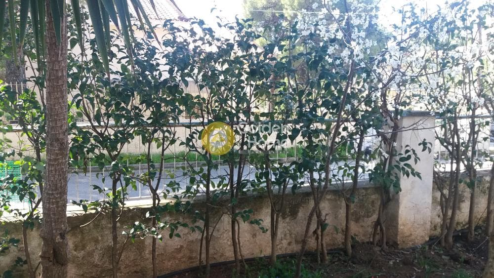 Οικόπεδο στην Μεγάλα Σχοινία Α, Αχαρνές — Φωτογραφία 3 από 18