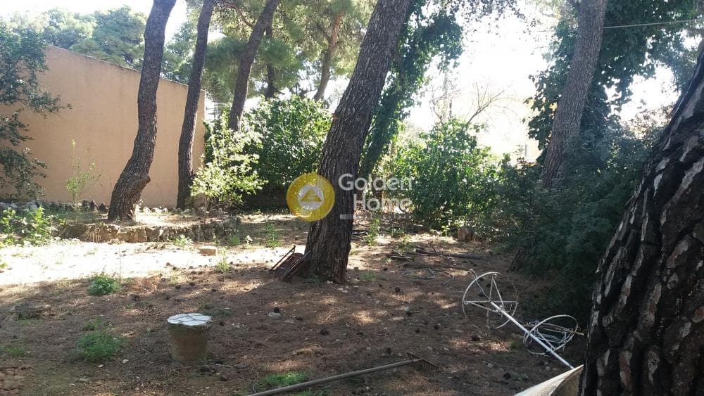 Οικόπεδο στην Μεγάλα Σχοινία Α, Αχαρνές — Φωτογραφία 11 από 18