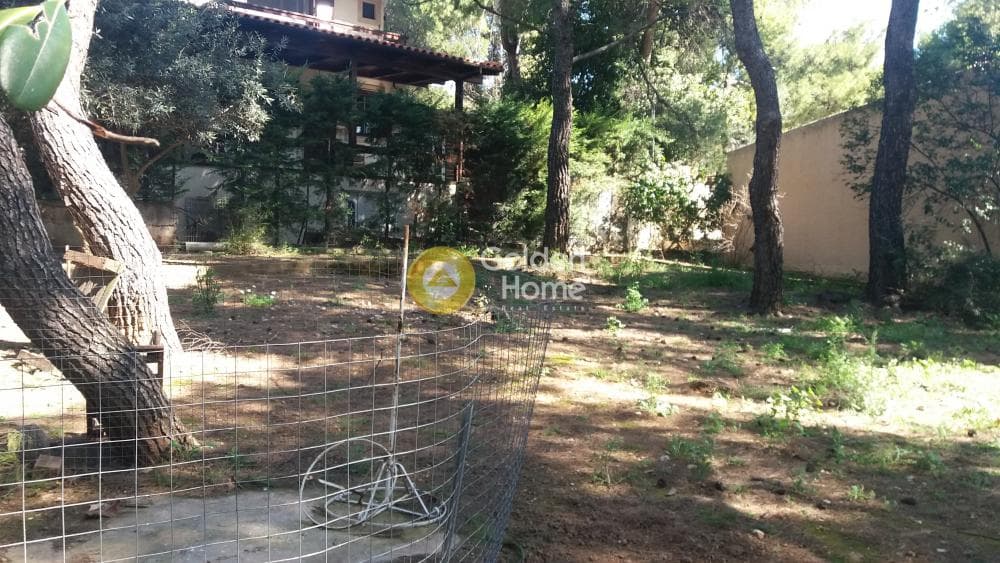 Οικόπεδο στην Μεγάλα Σχοινία Α, Αχαρνές — Φωτογραφία 13 από 18