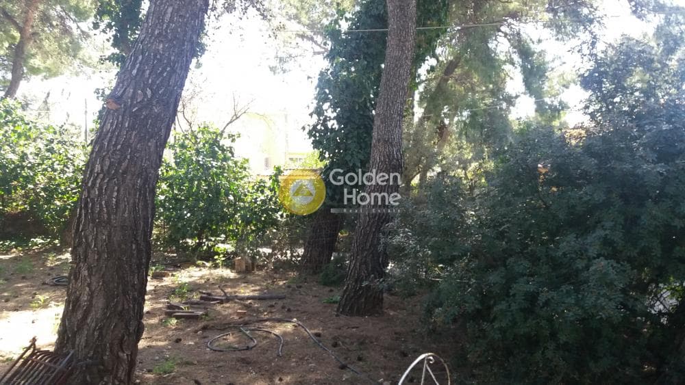 Οικόπεδο στην Μεγάλα Σχοινία Α, Αχαρνές — Φωτογραφία 15 από 18