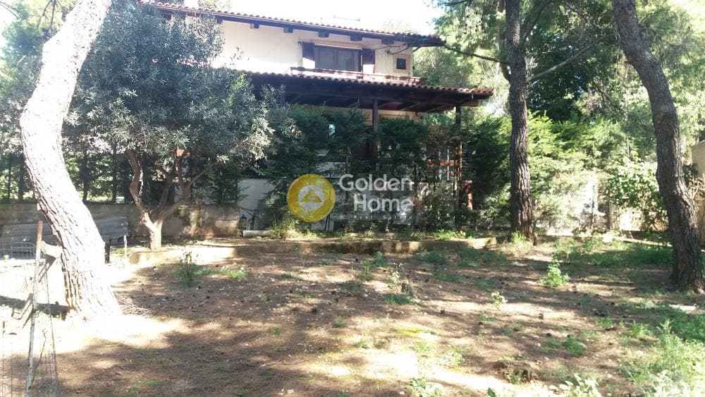 Οικόπεδο στην Μεγάλα Σχοινία Α, Αχαρνές — Φωτογραφία 16 από 18