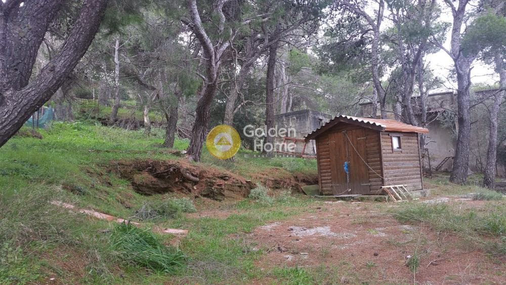 Οικόπεδο στην Κέντρο, Πεντέλη — Φωτογραφία 2 από 3