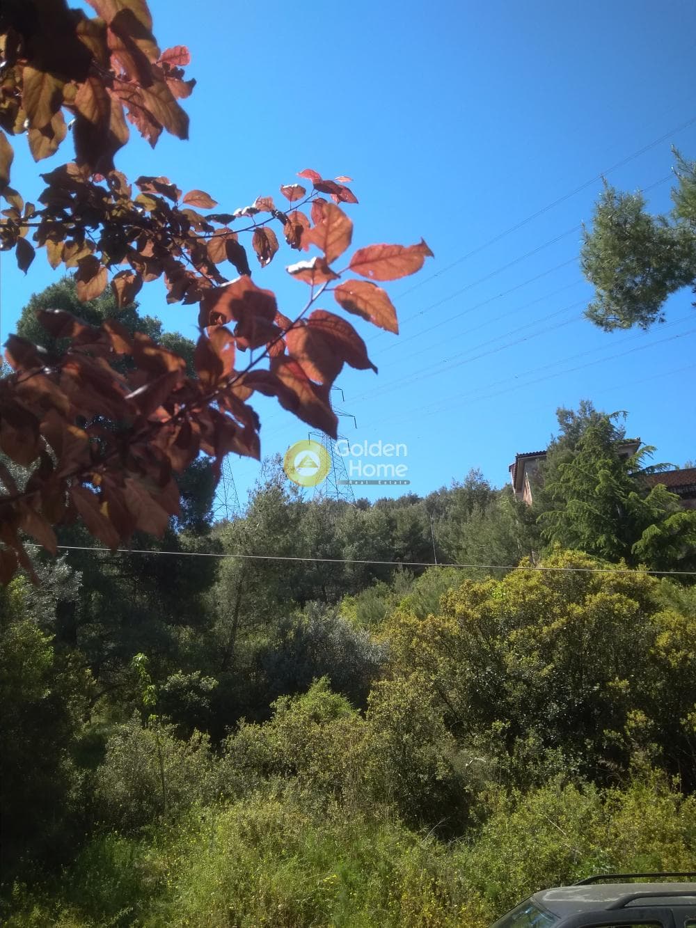 Οικόπεδο στην Δροσιά, Δροσιά — Φωτογραφία 2 από 3