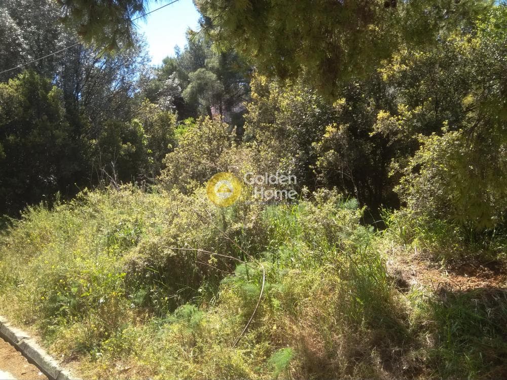 Οικόπεδο στην Δροσιά, Δροσιά — Φωτογραφία 3 από 3