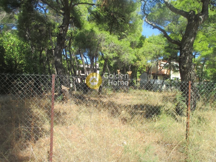 Οικόπεδο στην Μεγάλα Σχοινία Α, Αχαρνές — Φωτογραφία 2 από 8