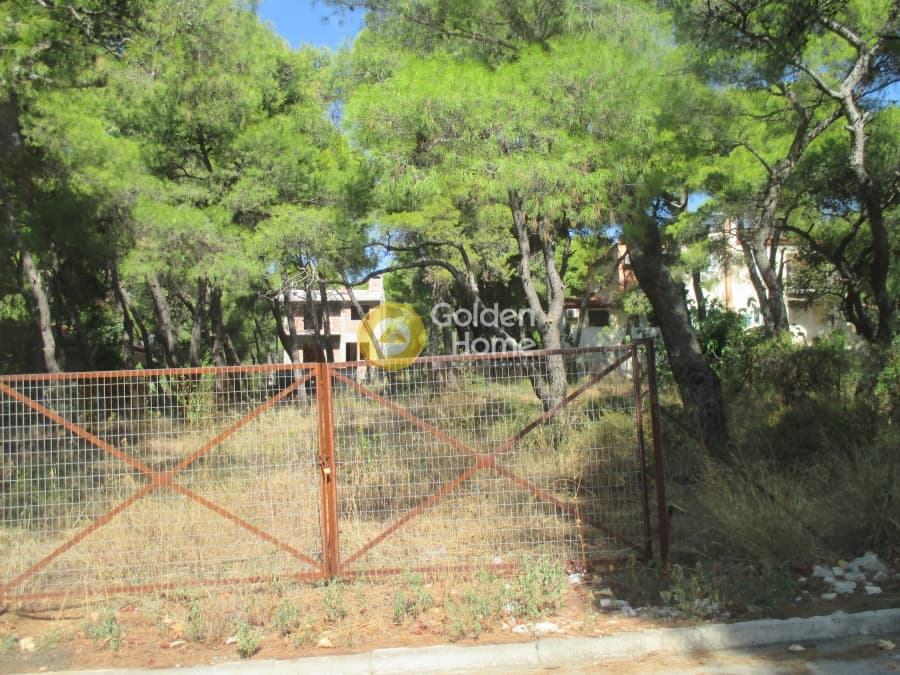 Οικόπεδο στην Μεγάλα Σχοινία Α, Αχαρνές — Φωτογραφία 3 από 8
