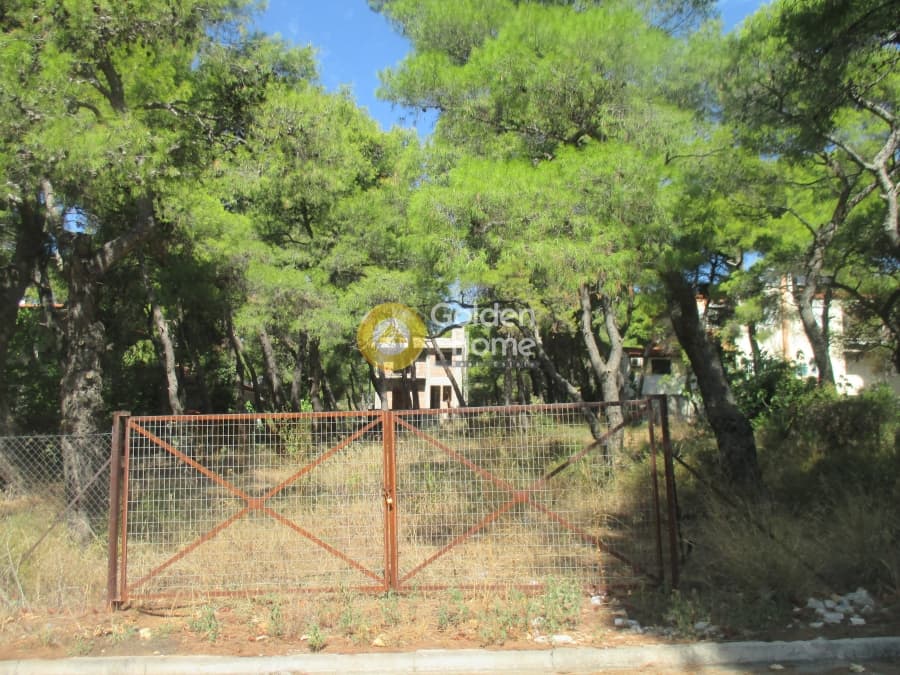 Οικόπεδο στην Μεγάλα Σχοινία Α, Αχαρνές — Φωτογραφία 4 από 8