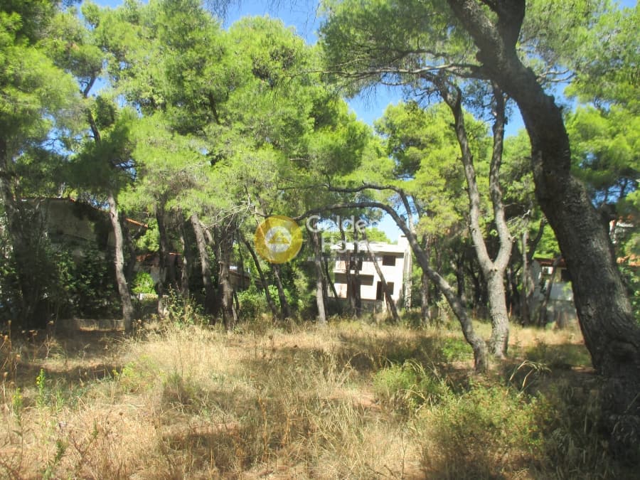 Οικόπεδο στην Μεγάλα Σχοινία Α, Αχαρνές — Φωτογραφία 5 από 8
