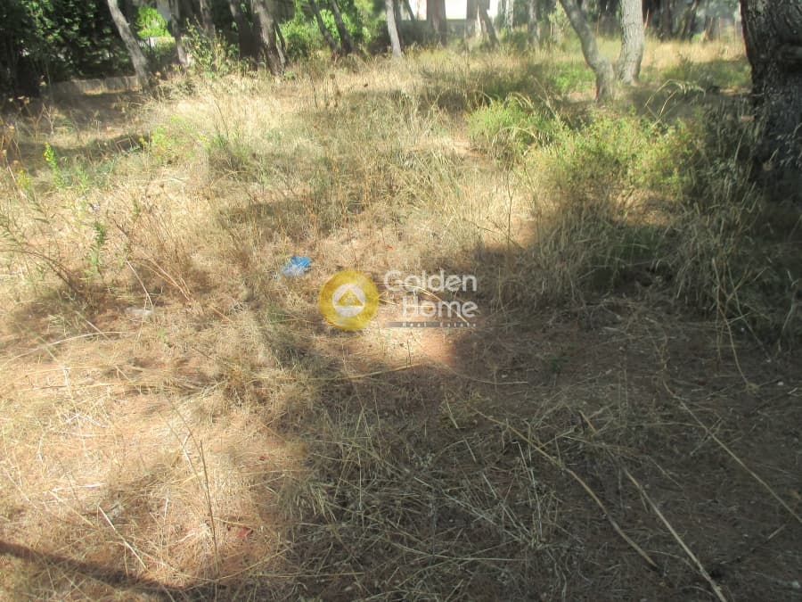 Οικόπεδο στην Μεγάλα Σχοινία Α, Αχαρνές — Φωτογραφία 6 από 8