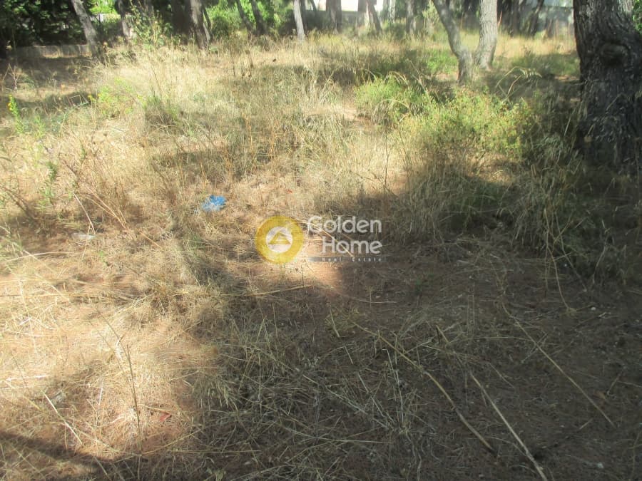 Οικόπεδο στην Μεγάλα Σχοινία Α, Αχαρνές — Φωτογραφία 7 από 8