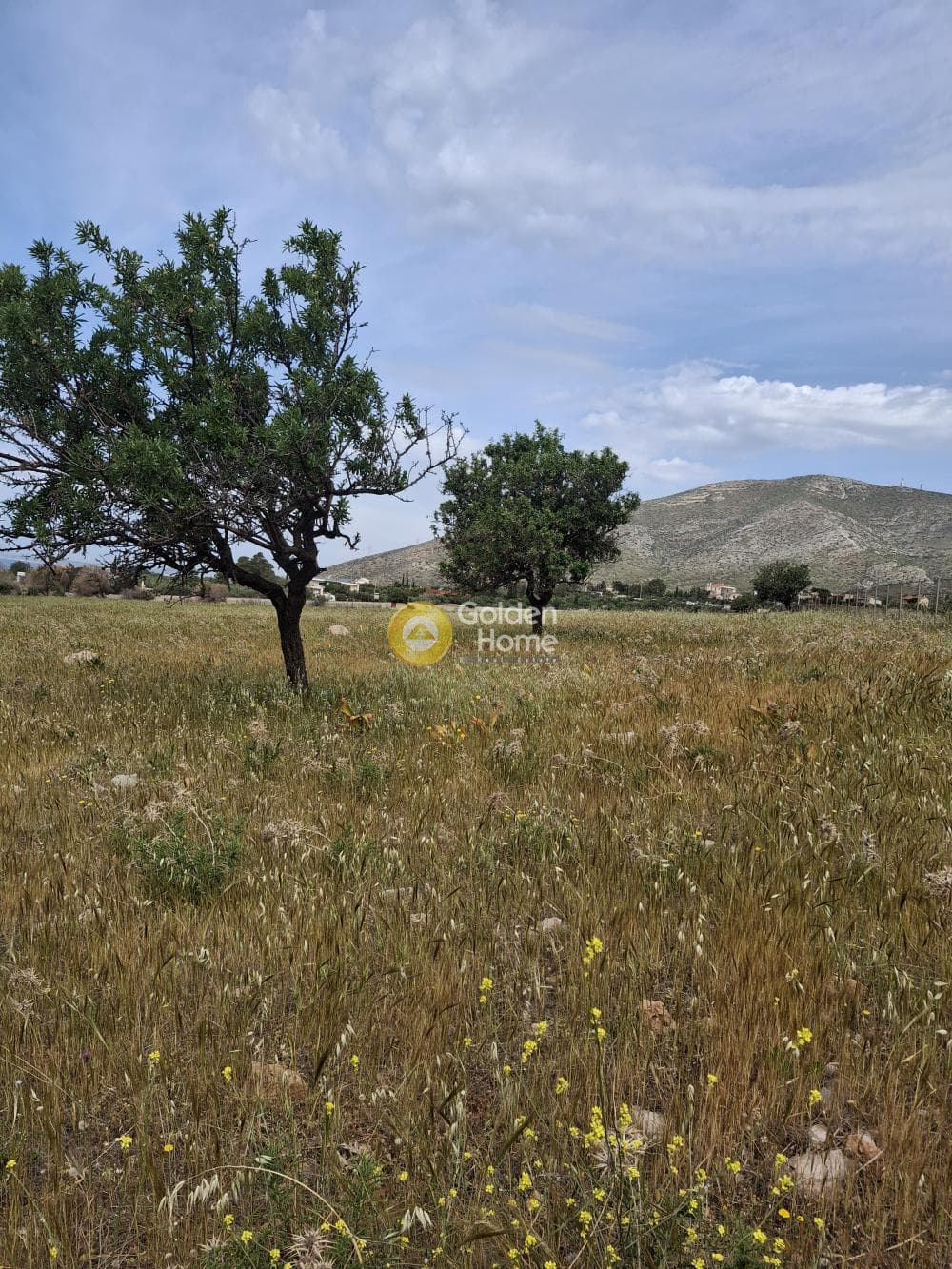 Parcel in Kalivia, Kalivia Thorikou — Photo 1 of 2