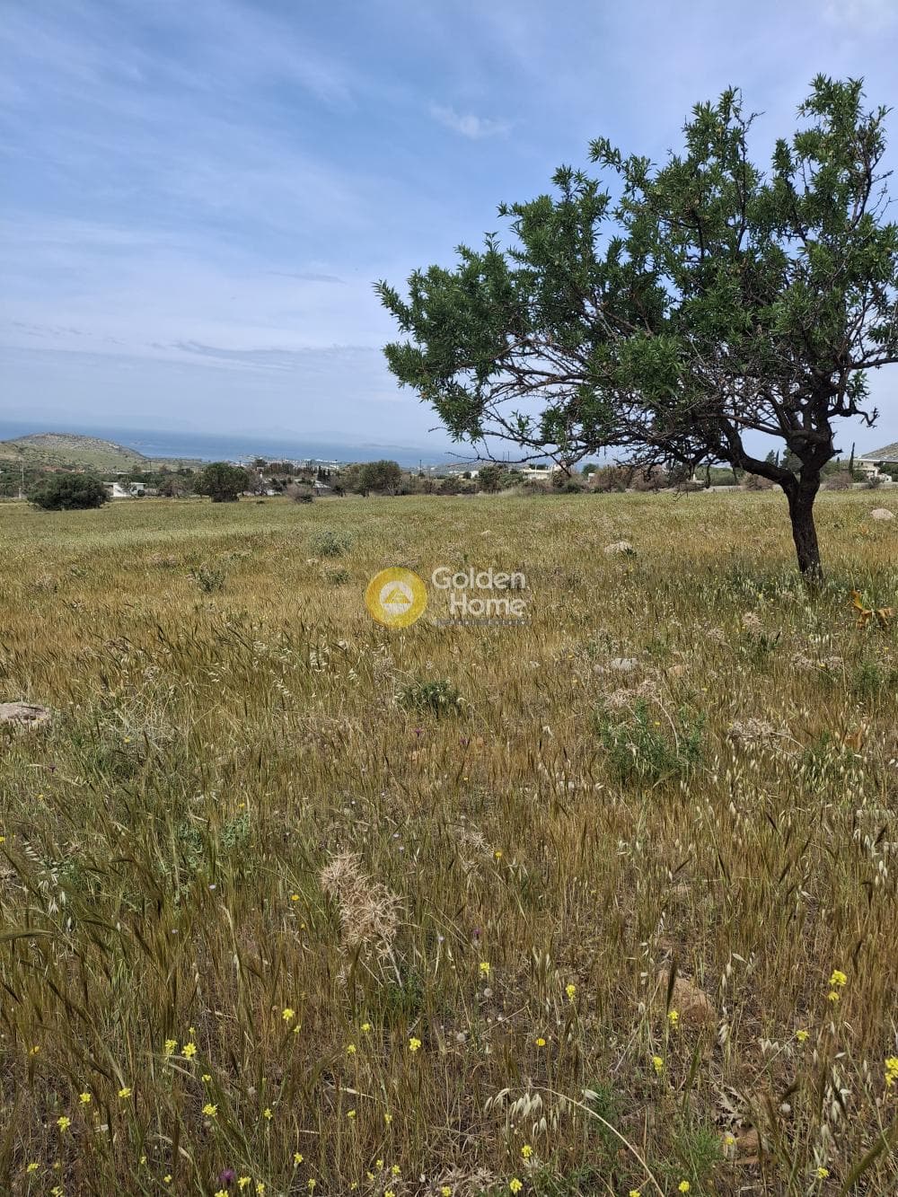 Parcel in Kalivia, Kalivia Thorikou — Photo 2 of 2