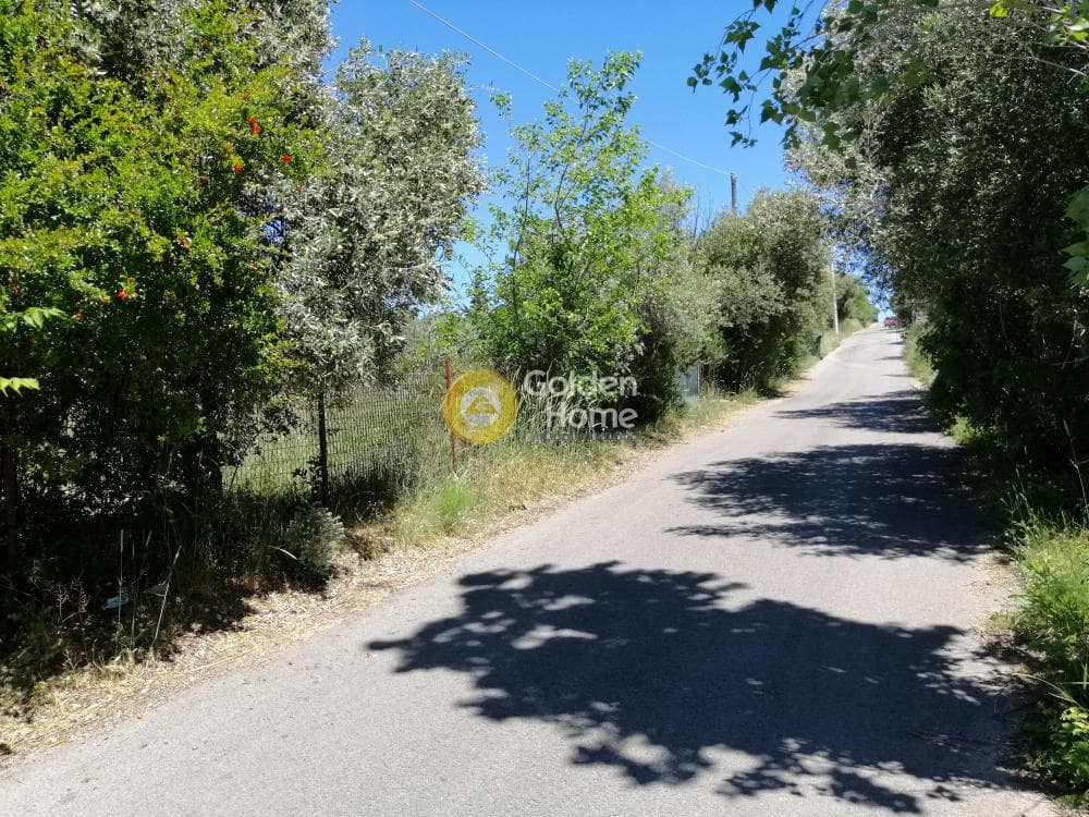 Building Plot in Agia Paraskevi, Pallini — Photo 2 of 10