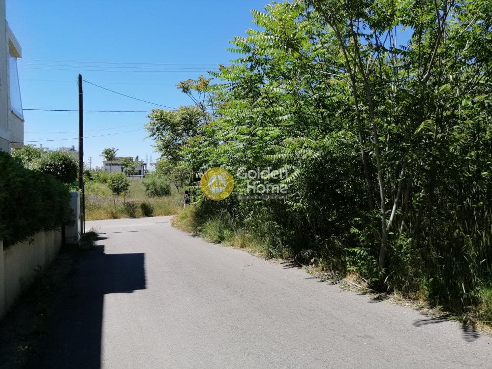 Building Plot in Agia Paraskevi, Pallini — Photo 10 of 10