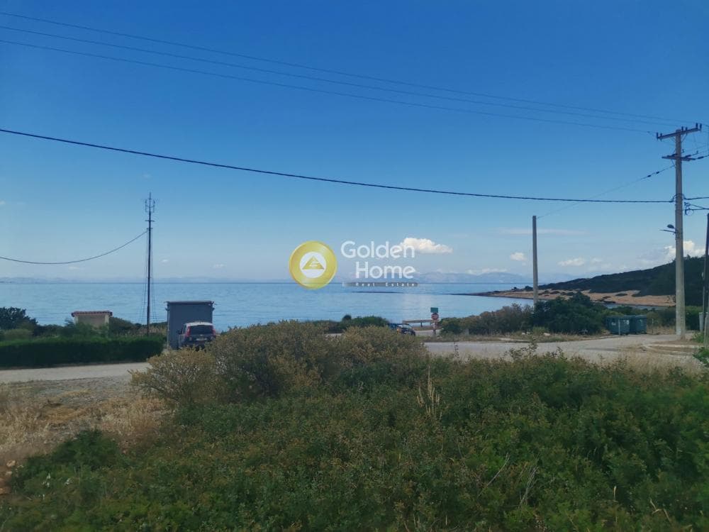 Οικόπεδο στην Χαμολιά, Βραυρώνα — Φωτογραφία 1 από 15