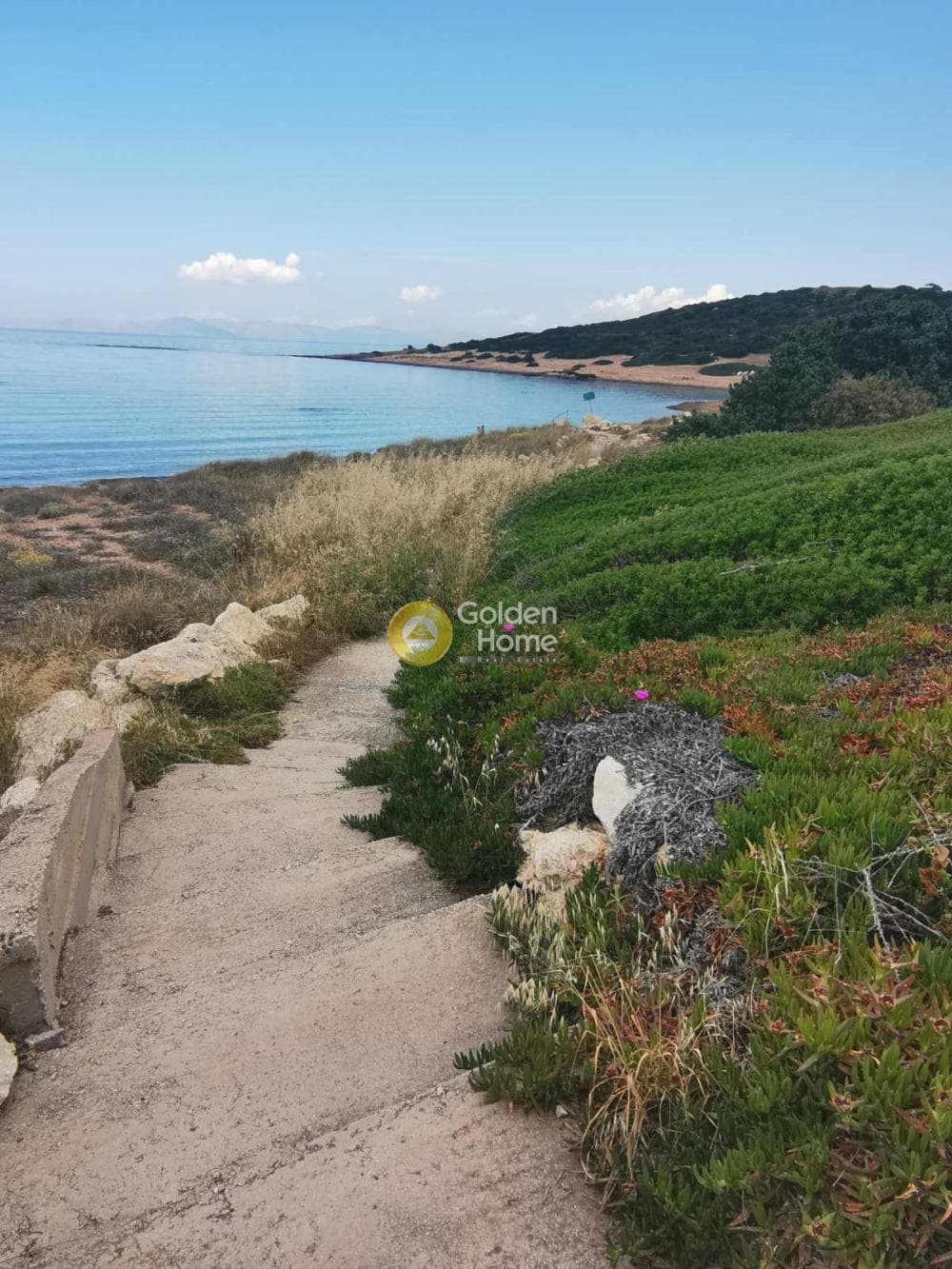 Οικόπεδο στην Χαμολιά, Βραυρώνα — Φωτογραφία 3 από 15