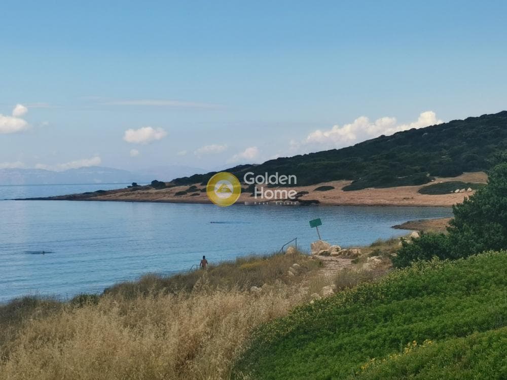Οικόπεδο στην Χαμολιά, Βραυρώνα — Φωτογραφία 6 από 15