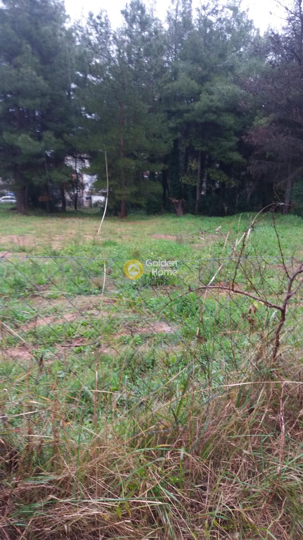 Building Plot in Agioi Aggeloi, Anoixi — Photo 2 of 6