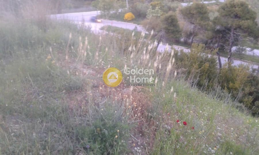Building Plot in Kallithea, Penteli — Photo 8 of 16