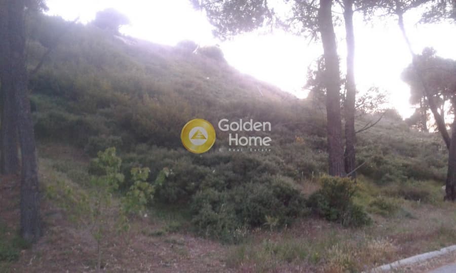 Building Plot in Kallithea, Penteli — Photo 5 of 16