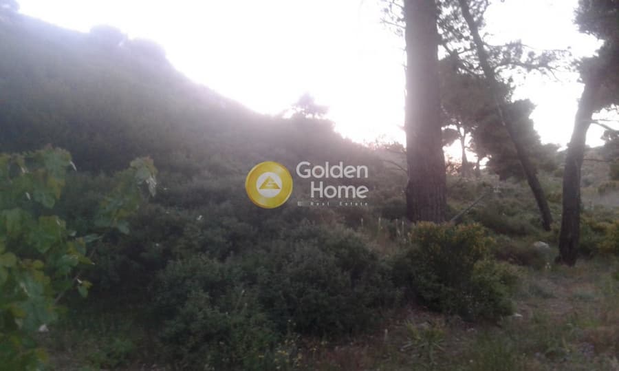 Building Plot in Kallithea, Penteli — Photo 12 of 16