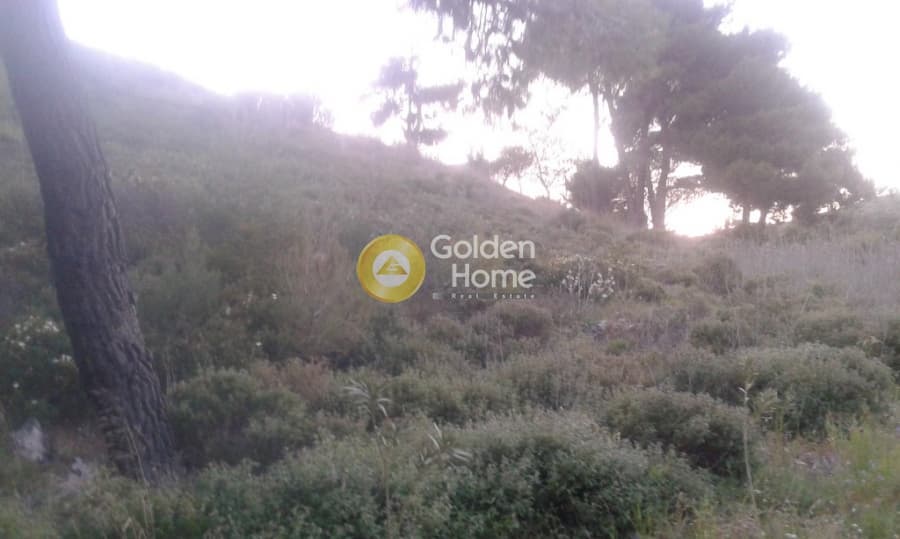 Building Plot in Kallithea, Penteli — Photo 13 of 16