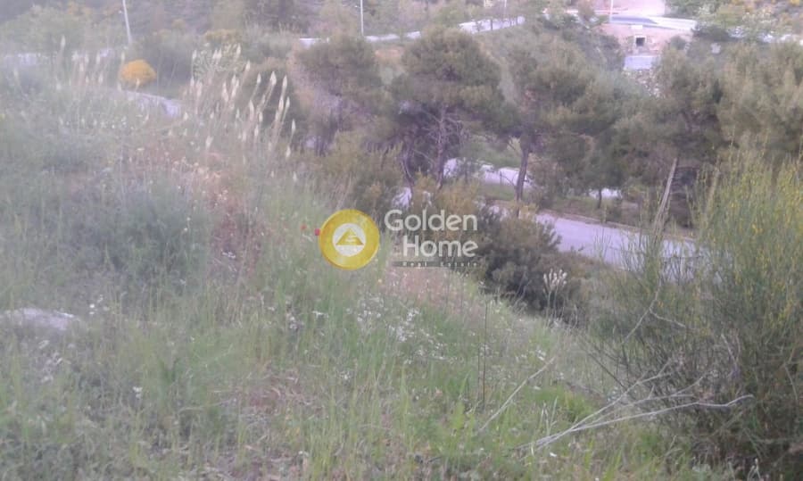 Building Plot in Kallithea, Penteli — Photo 14 of 16