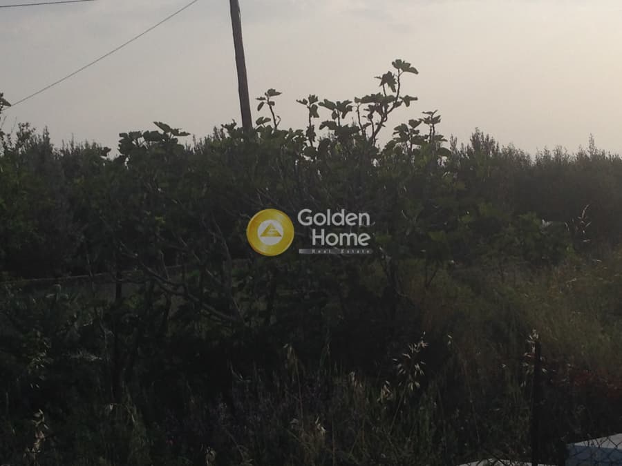 Building Plot in Kalivia, Kalivia Thorikou — Photo 1 of 3