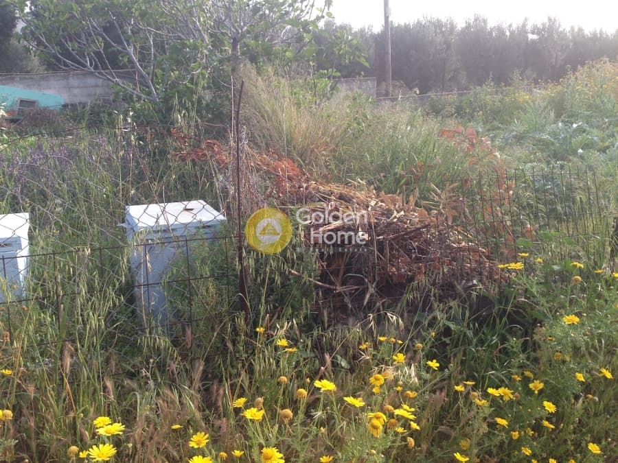 Building Plot in Kalivia, Kalivia Thorikou — Photo 3 of 3