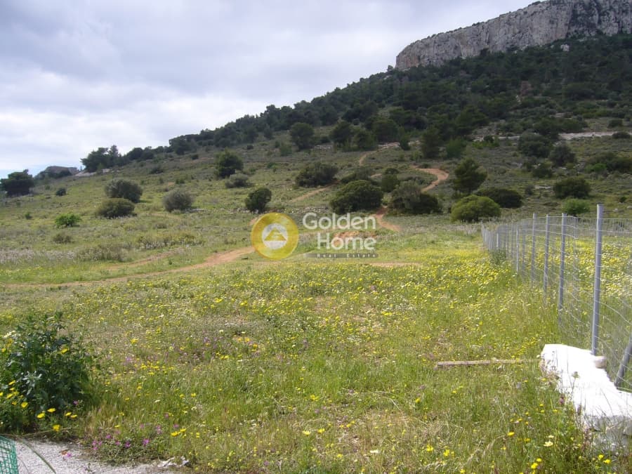 Parcel in Center, Koropi — Photo 1 of 12