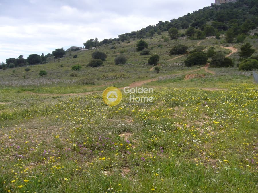 Parcel in Center, Koropi — Photo 2 of 12