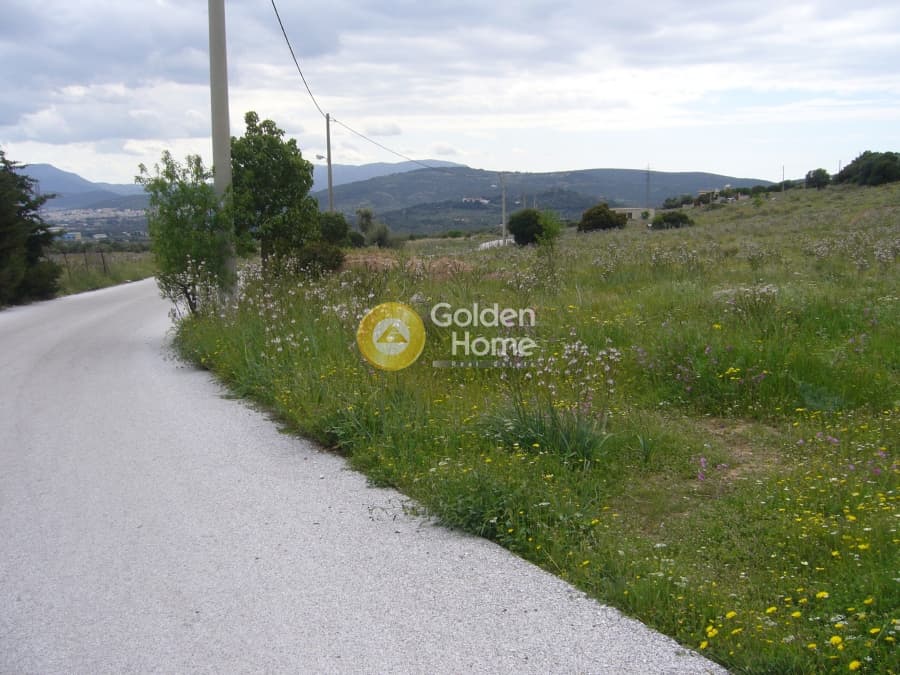 Parcel in Center, Koropi — Photo 4 of 12