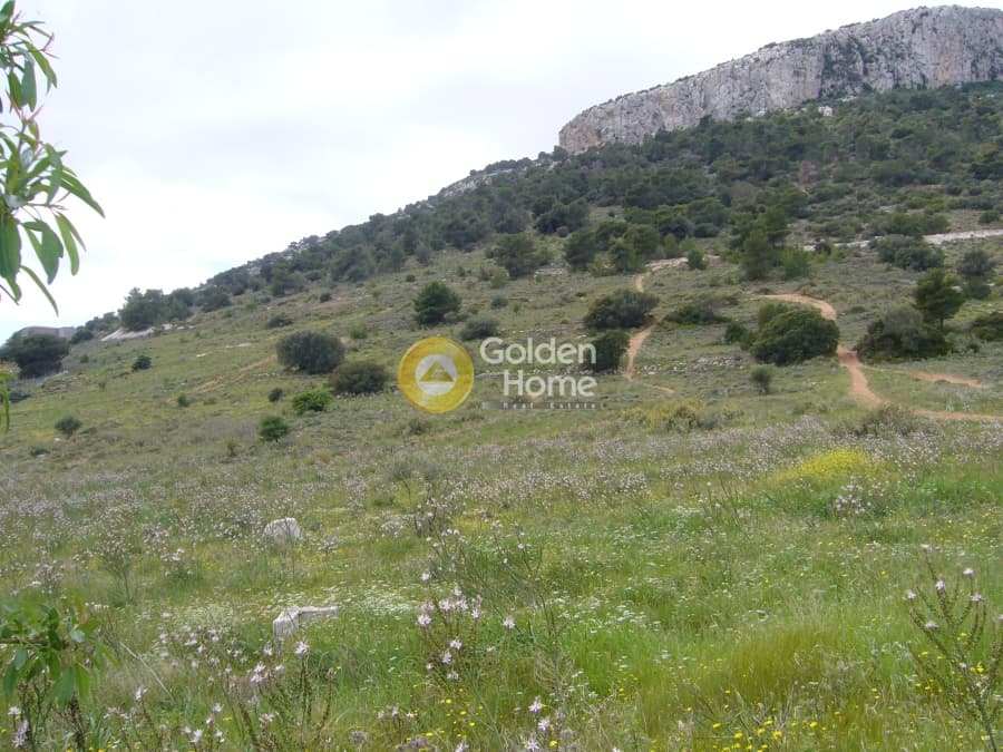 Parcel in Center, Koropi — Photo 6 of 12