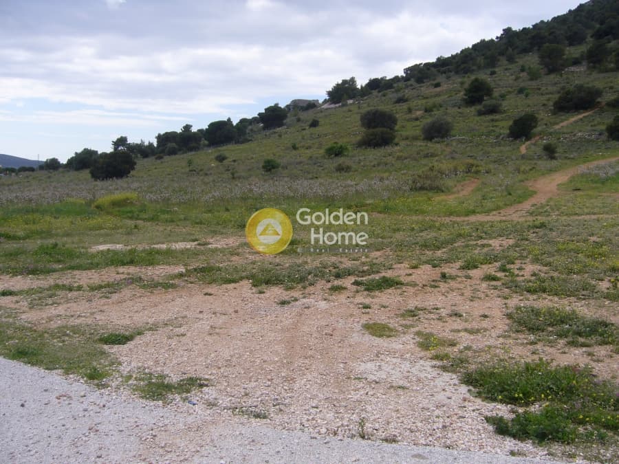 Parcel in Center, Koropi — Photo 7 of 12