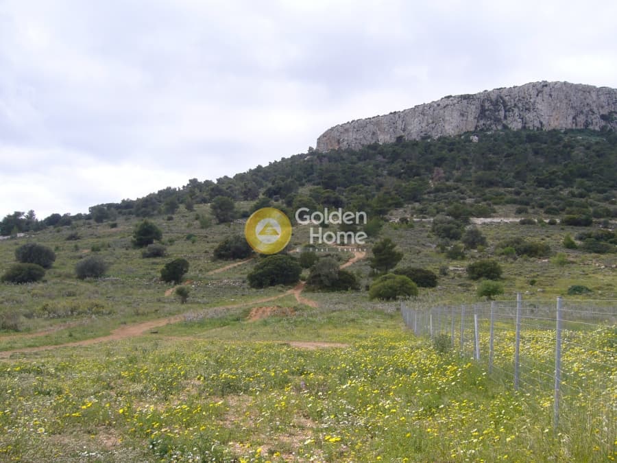 Parcel in Center, Koropi — Photo 8 of 12