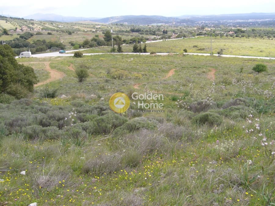 Parcel in Center, Koropi — Photo 9 of 12