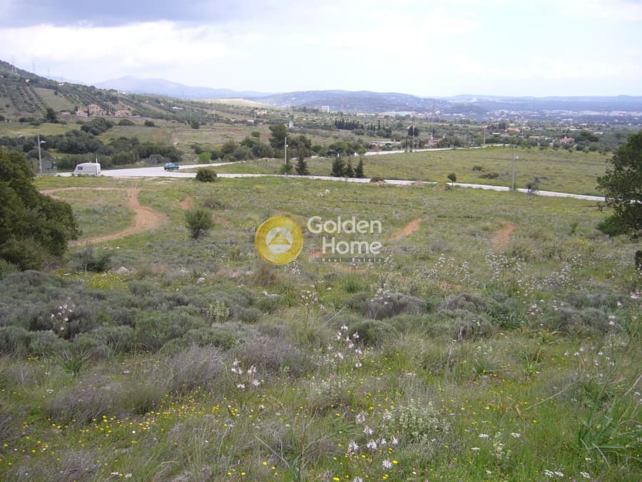 Parcel in Center, Koropi — Photo 10 of 12